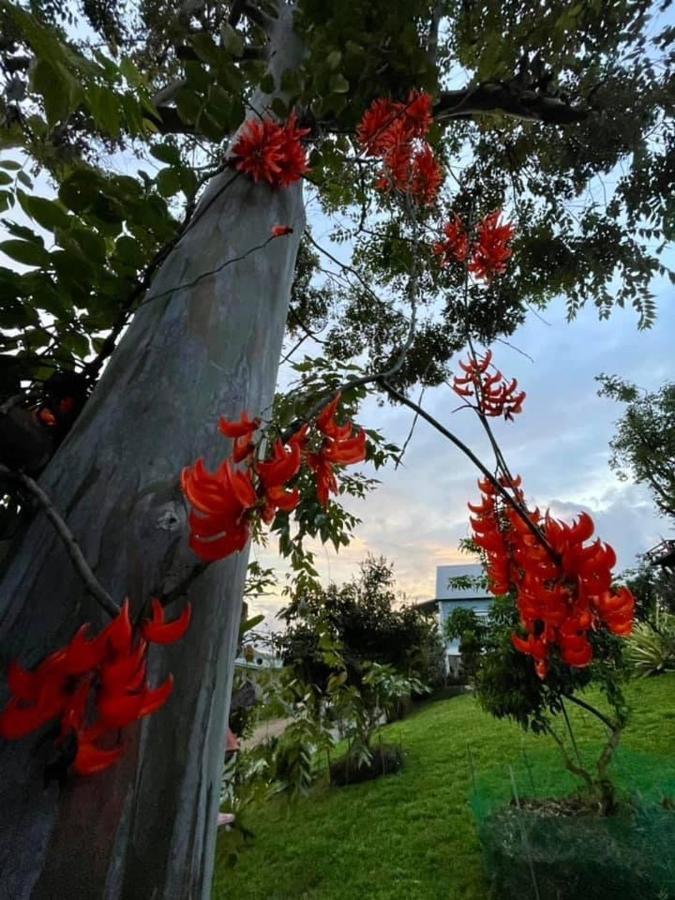 Tip House Villa Khao Kho Exteriör bild